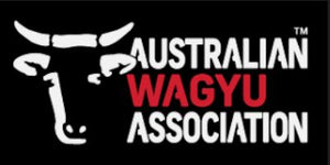AU AA9+ Wagyu Picanha (Rump Cap) 澳洲AA9+和牛西冷上蓋
